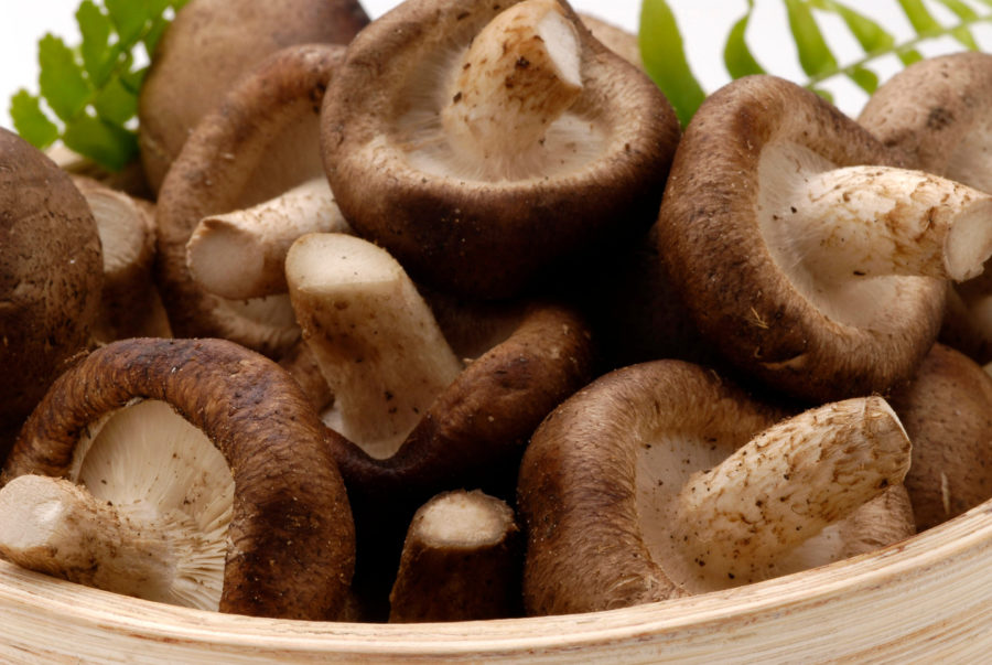 Propiedades del shiitake