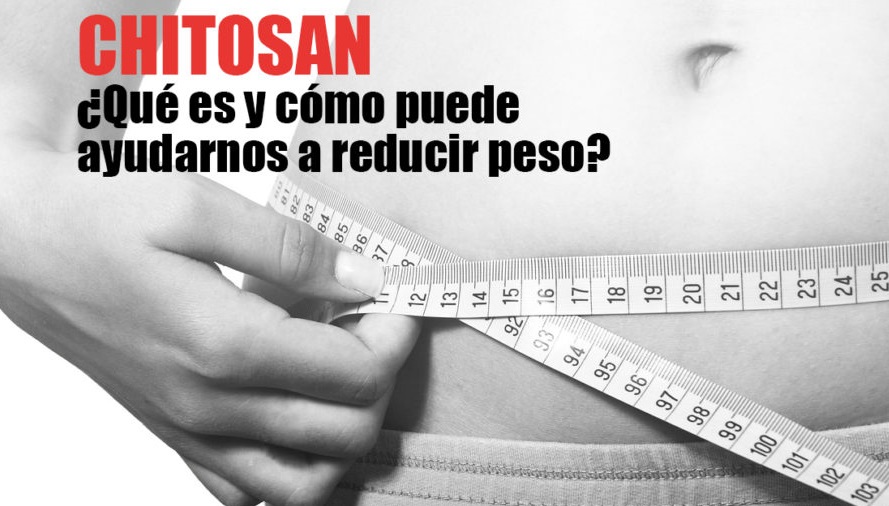 La presencia del chito-san en nuestro organismo actúa en el momento de la digestión como agente inhibidor en la absorción de grasas.