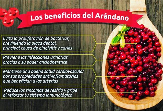Arándano