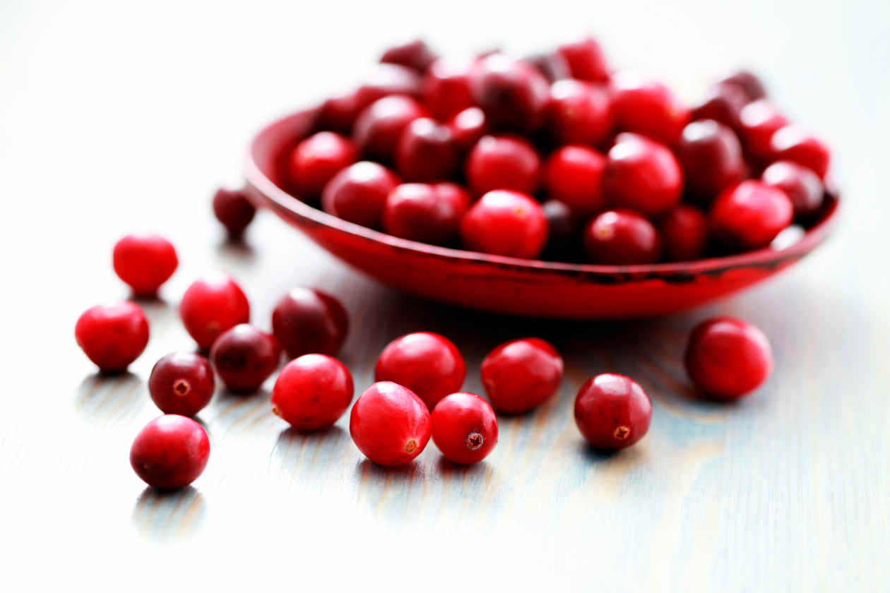 Propiedades-del-arandano-rojo-1