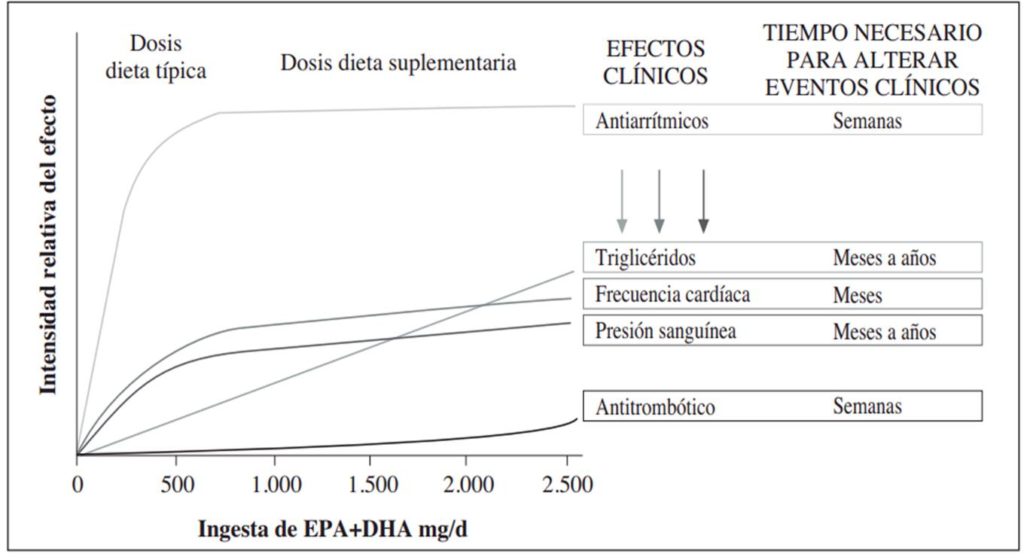 Beneficios de consumo de omega 3 durante el tiempo